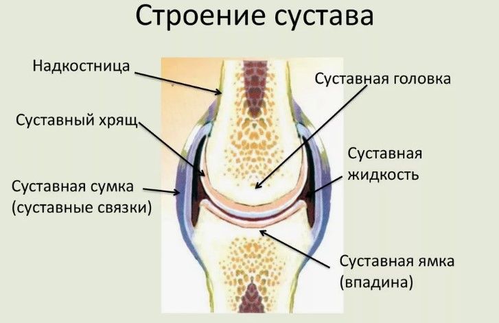 article8668.jpg